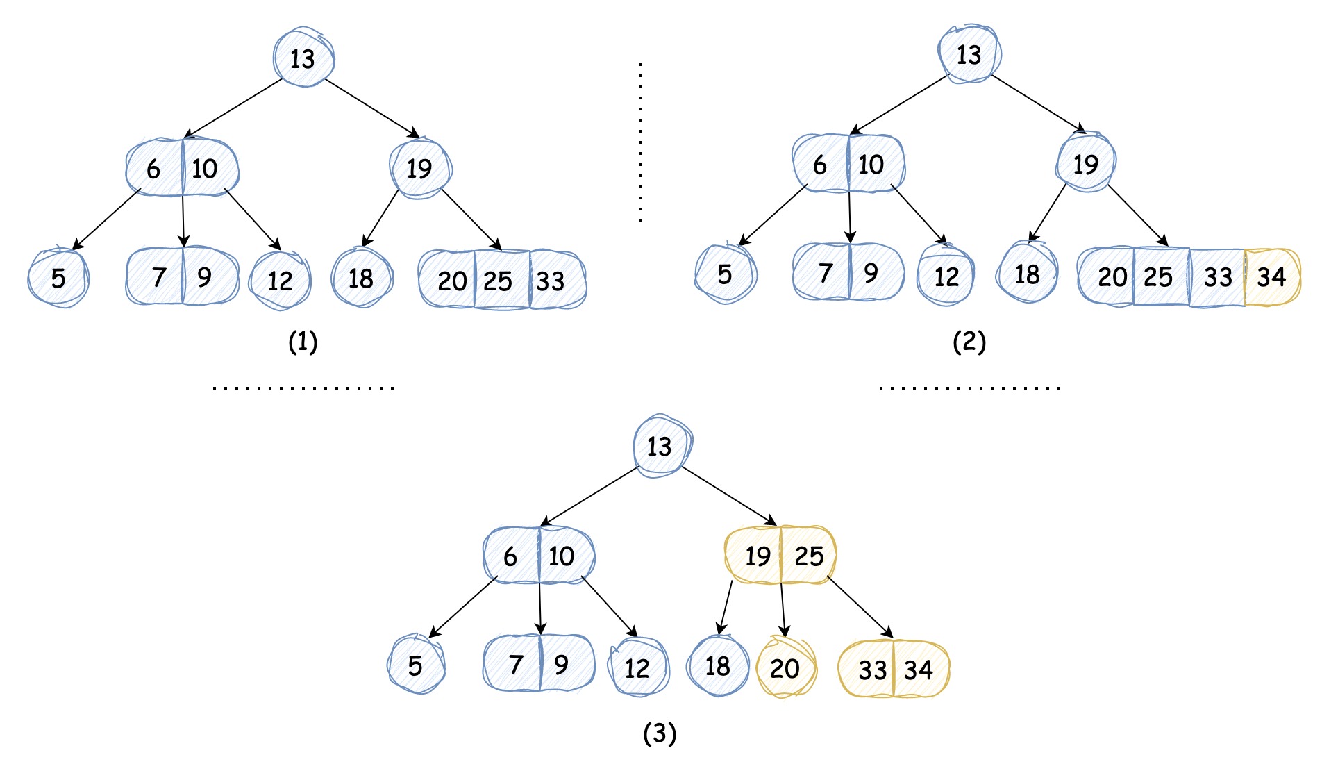 2-3-4 Baum 3.jpg