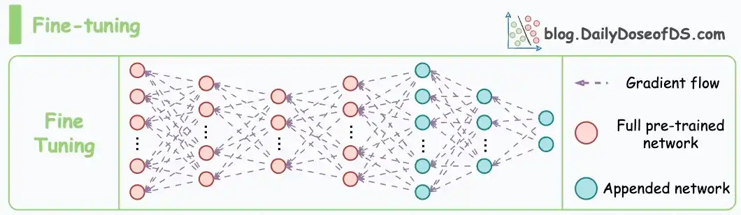 9764beac-a786-4305-9a47-ec050b0ebef6_1060x308.gif
